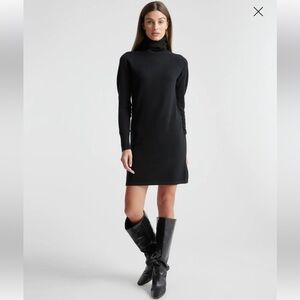 Quince Mongolian Cashmere Turtleneck Sweater Dress
